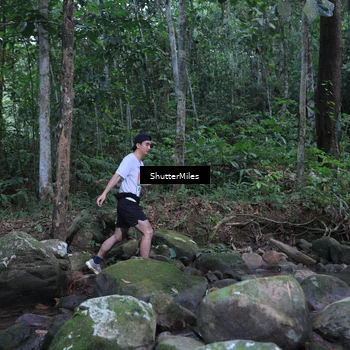 Runner Photo 8801256