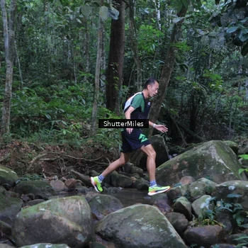 Runner Photo 8801271