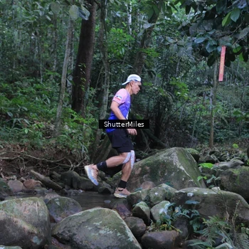 Runner Photo 8801279