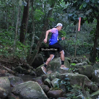 Runner Photo 8801280