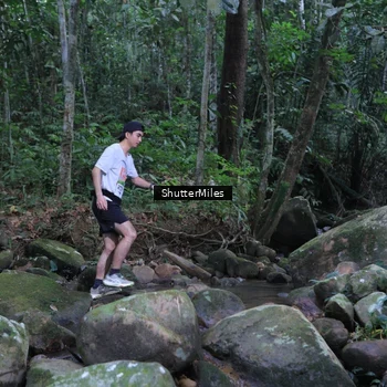Runner Photo 8801281