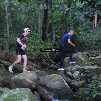 Runner Photo 8801289