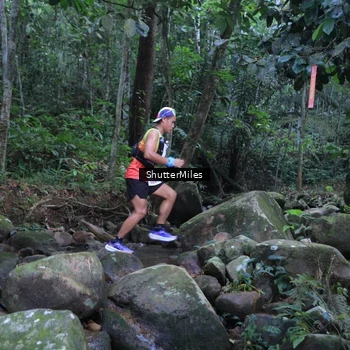 Runner Photo 8801293