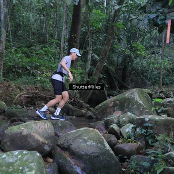 Runner Photo 8801300