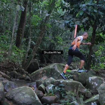 Runner Photo 8801312