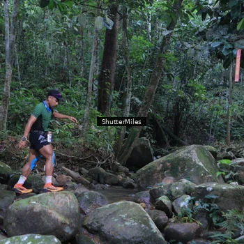 Runner Photo 8801315