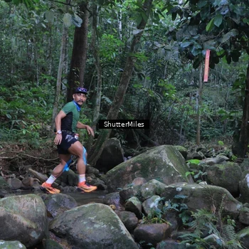 Runner Photo 8801316