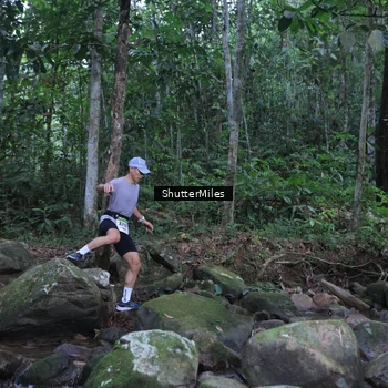 Runner Photo 8801317