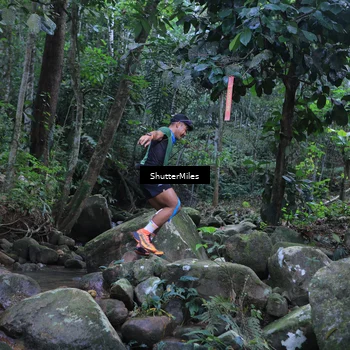 Runner Photo 8801323