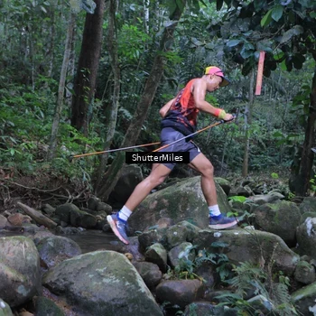 Runner Photo 8801324