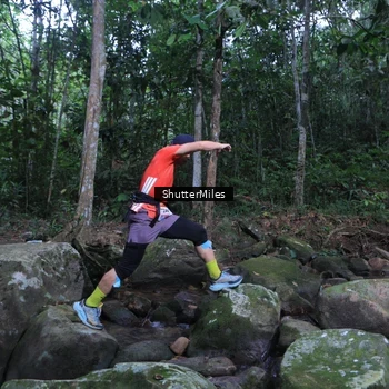 Runner Photo 8801357