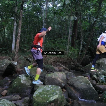 Runner Photo 8801358