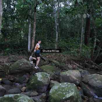Runner Photo 8801361