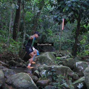 Runner Photo 8801390
