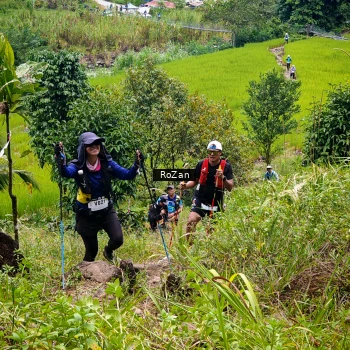 Runner Photo 88049