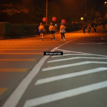 Runner Photo 8805837