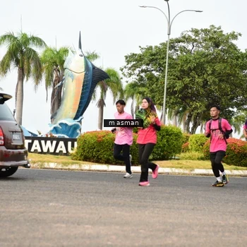 Runner Photo 8830142