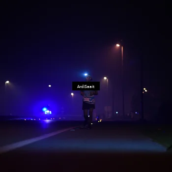 Runner Photo 8831217