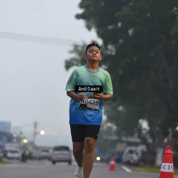 Runner Photo 8838120