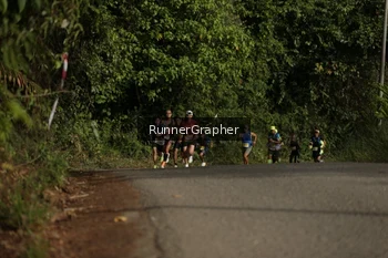 Runner Photo 88428