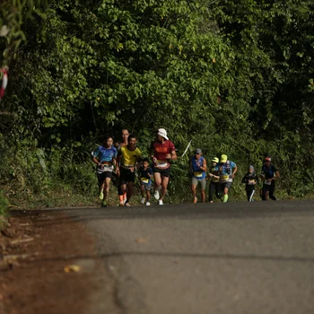 Runner Photo 88431