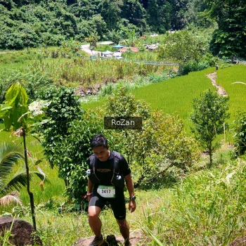 Runner Photo 88474