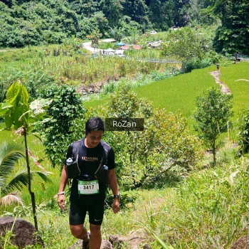Runner Photo 88477
