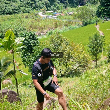 Runner Photo 88479