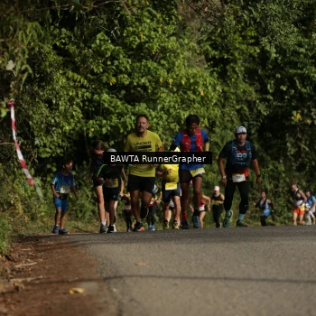 Runner Photo 88529