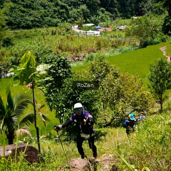 Runner Photo 88543