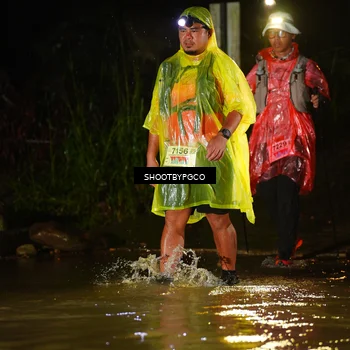 Runner Photo 8855749