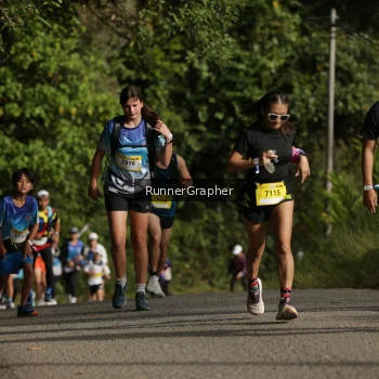 Runner Photo 88563