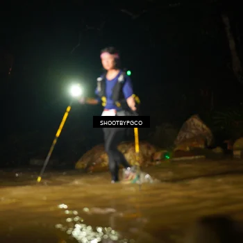 Runner Photo 8856488