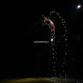 Runner Photo 8856578