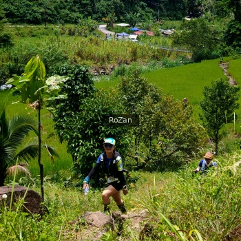 Runner Photo 88567