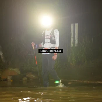 Runner Photo 8856871