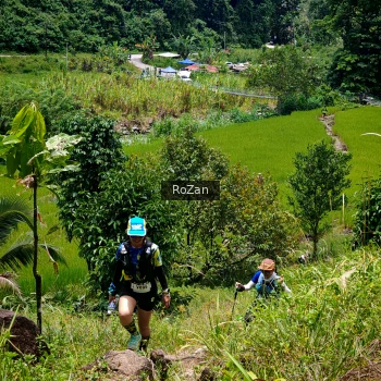 Runner Photo 88570