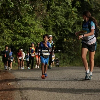 Runner Photo 88579