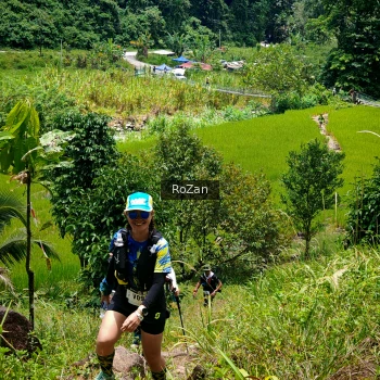 Runner Photo 88593