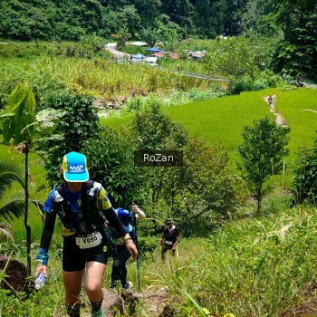 Runner Photo 88596