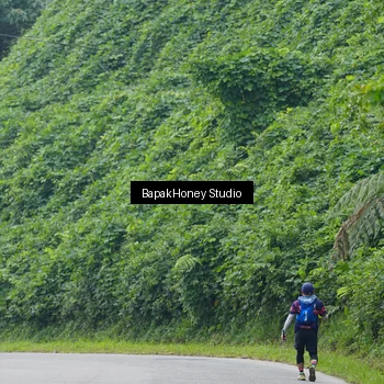 Runner Photo 8870248