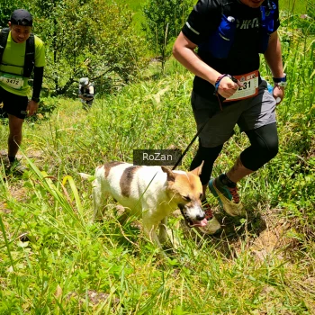 Runner Photo 88755