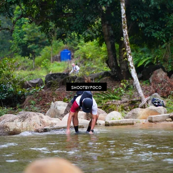 Runner Photo 8887147