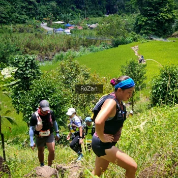 Runner Photo 88879