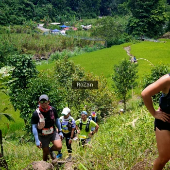 Runner Photo 88883