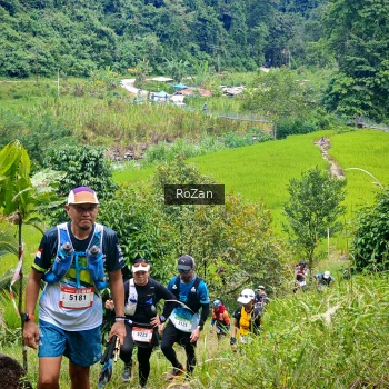 Runner Photo 88964