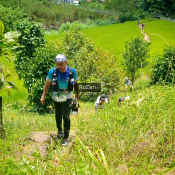 Runner Photo 89142
