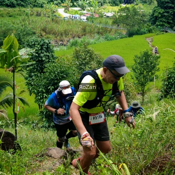 Runner Photo 89253