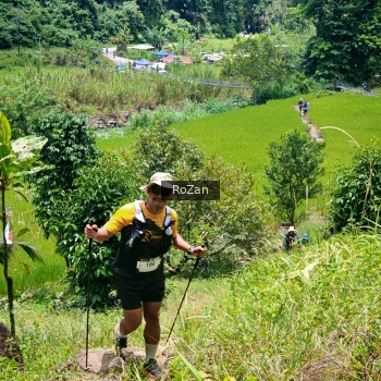 Runner Photo 89537