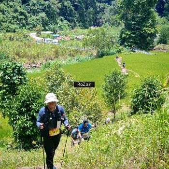Runner Photo 89623